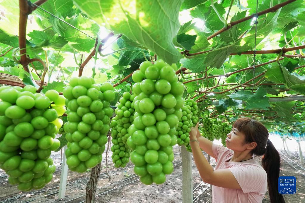 美高梅网上注册平台